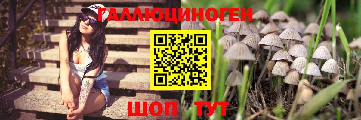 Галлюциногенные грибы Magic Shrooms Курчалой